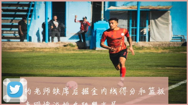 约老师缺席后掘金内线得分和篮板表现惨淡排名联盟末尾